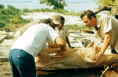 Saipan; Pig butchering